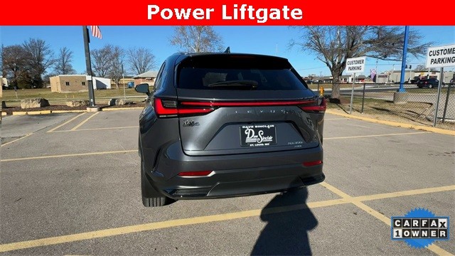 Lexus NX Vehicle Full-screen Gallery Image 09