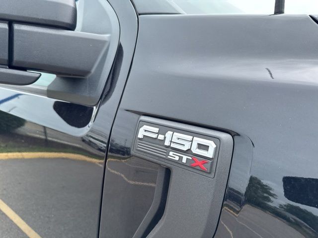 Ford F-150 Vehicle Full-screen Gallery Image 10
