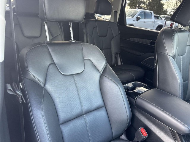 Kia Telluride Vehicle Full-screen Gallery Image 32