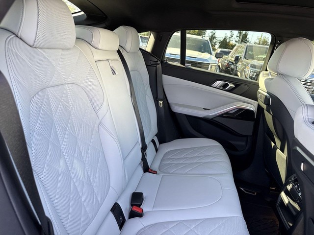 BMW X6 Vehicle Full-screen Gallery Image 31