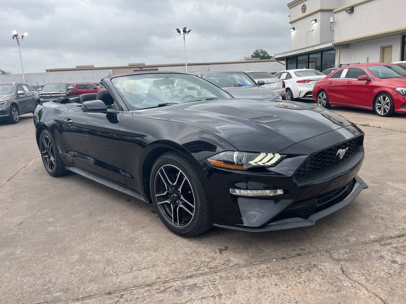 Ford Mustang Vehicle Image 02