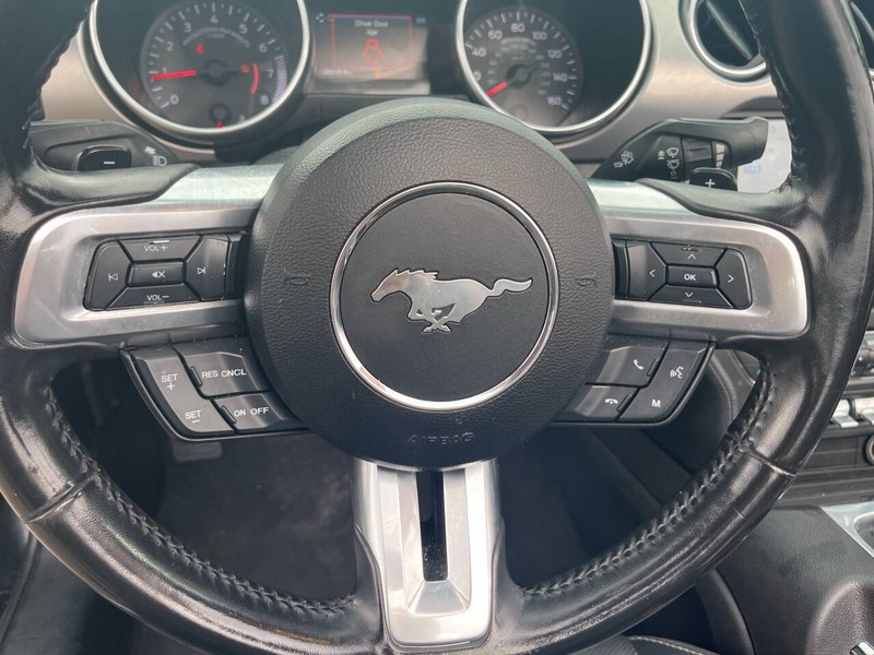 Ford Mustang Vehicle Image 08