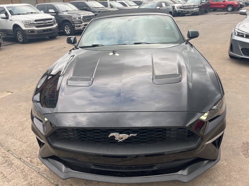 Ford Mustang Vehicle Image 18