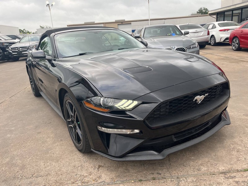 Ford Mustang Vehicle Image 19