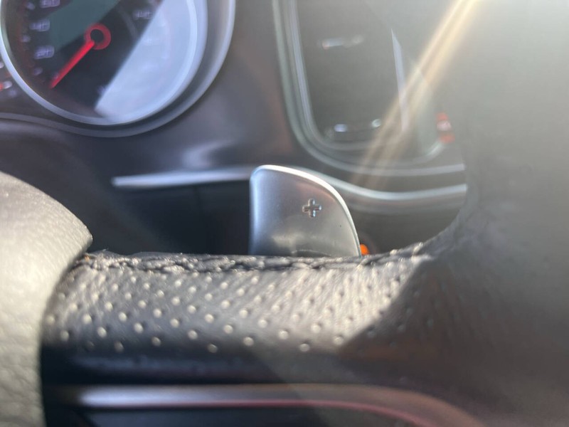 Dodge Charger Vehicle Image 14