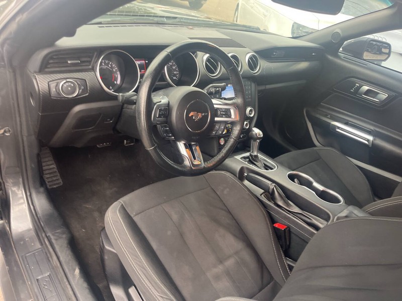 Ford Mustang Vehicle Image 08