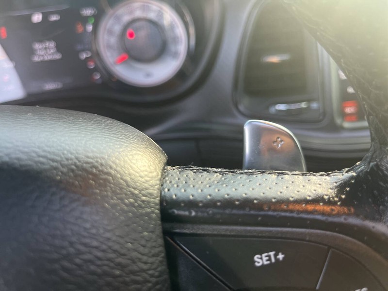 Dodge Challenger Vehicle Image 12