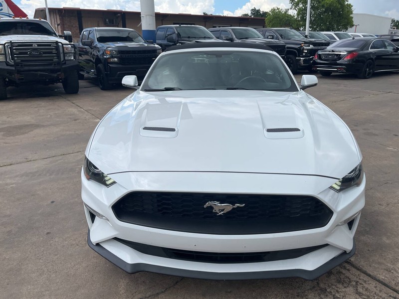 Ford Mustang Vehicle Image 03