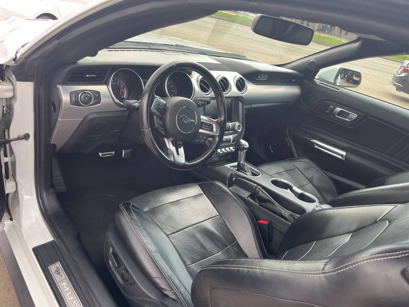 Ford Mustang Vehicle Image 08