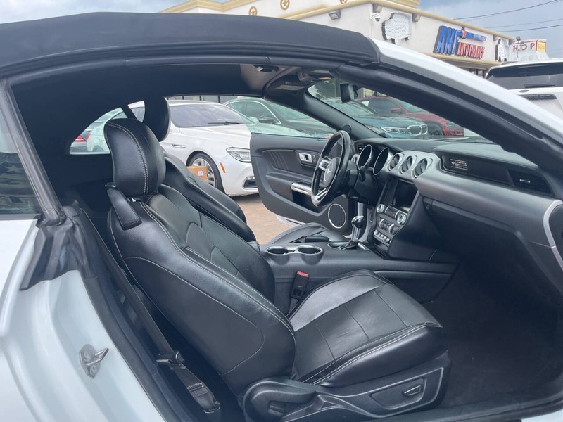 Ford Mustang Vehicle Image 15