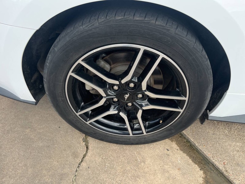 Ford Mustang Vehicle Image 19