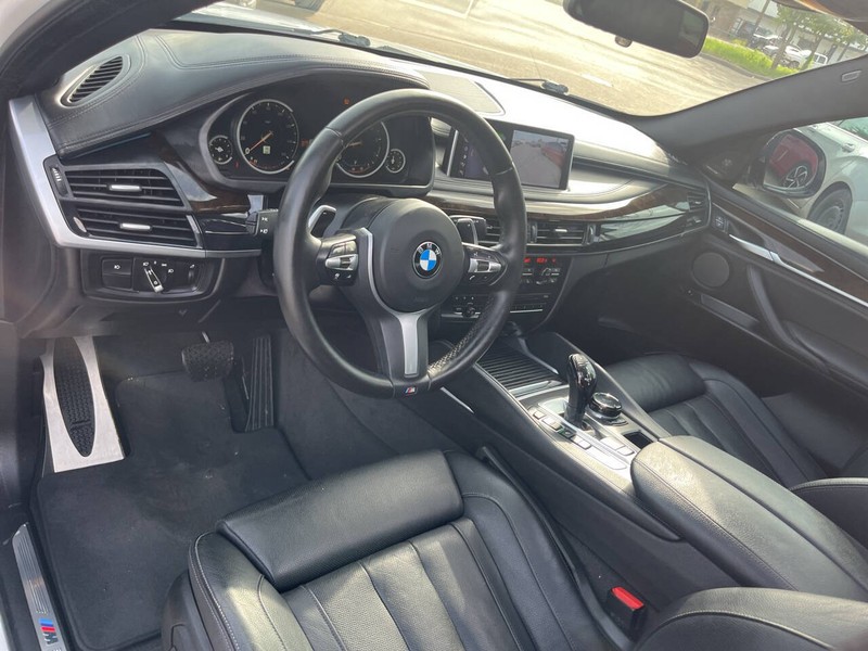 BMW X6 Vehicle Image 09
