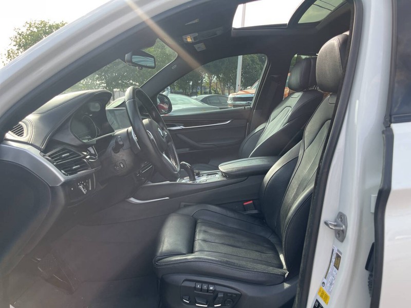 BMW X6 Vehicle Image 10