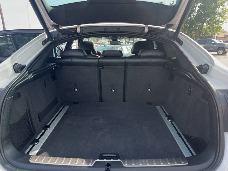 BMW X6 Vehicle Image 29