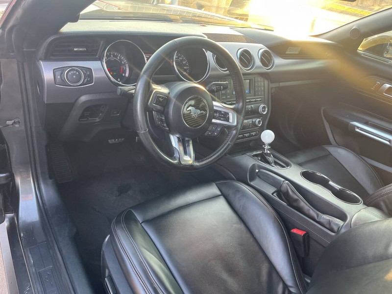 Ford Mustang Vehicle Image 10