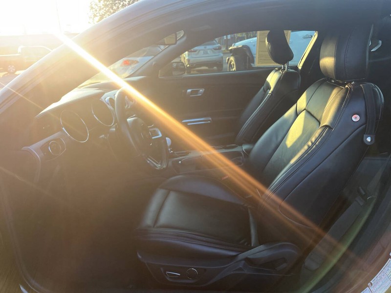 Ford Mustang Vehicle Image 11