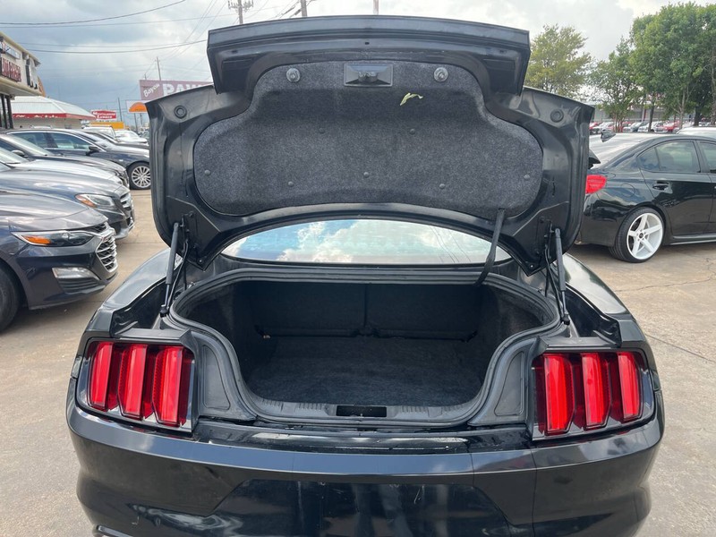 Ford Mustang Vehicle Image 09