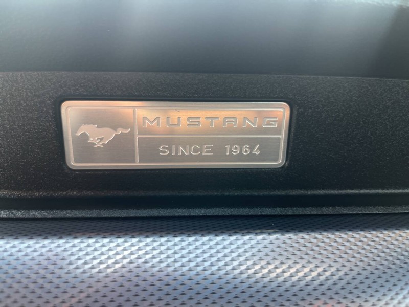 Ford Mustang Vehicle Image 12