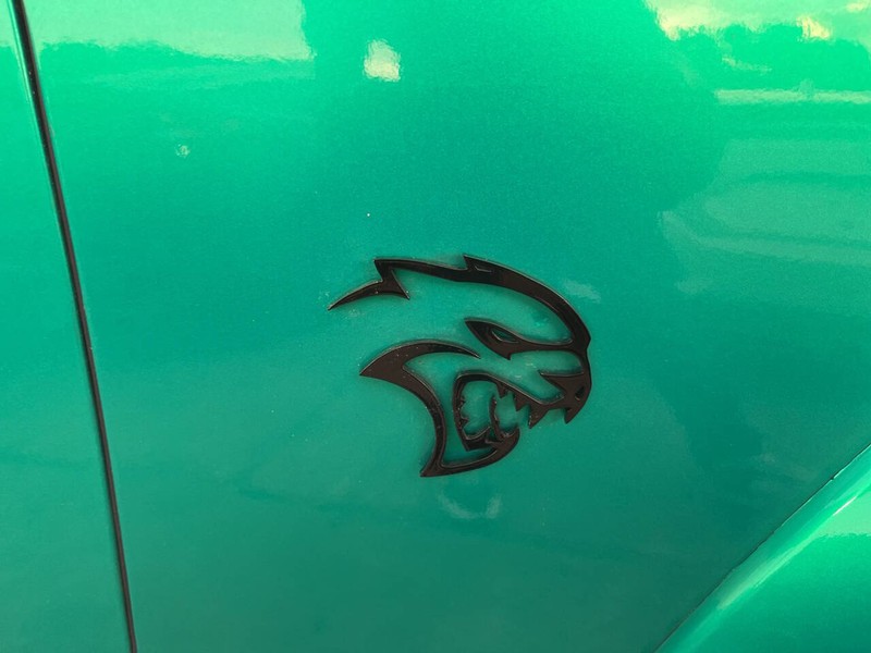Dodge Charger Vehicle Image 13