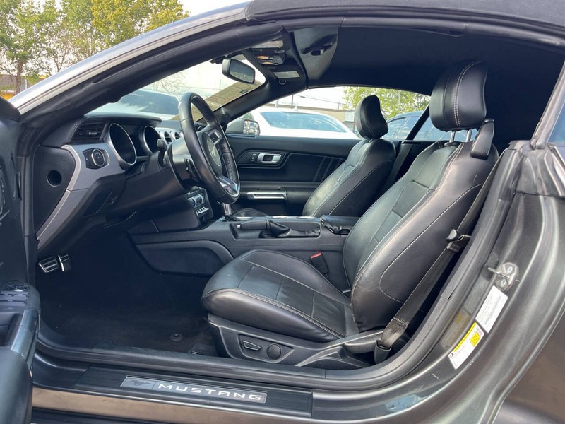 Ford Mustang Vehicle Image 07