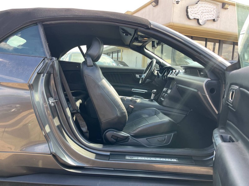 Ford Mustang Vehicle Image 11