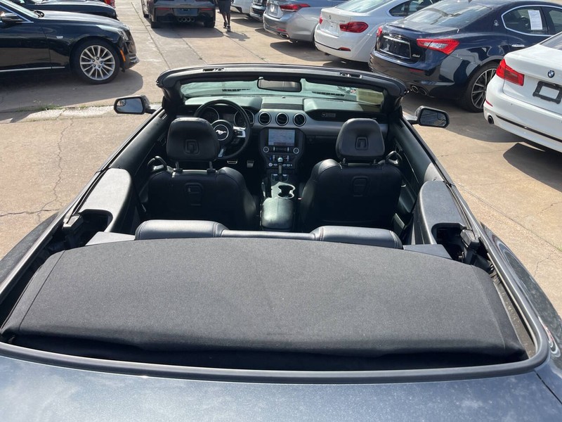 Ford Mustang Vehicle Image 13