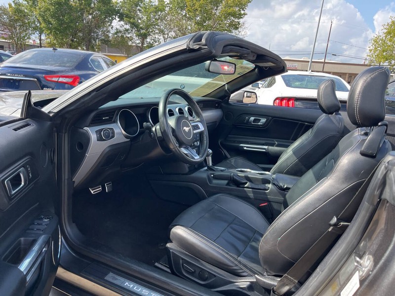 Ford Mustang Vehicle Image 14