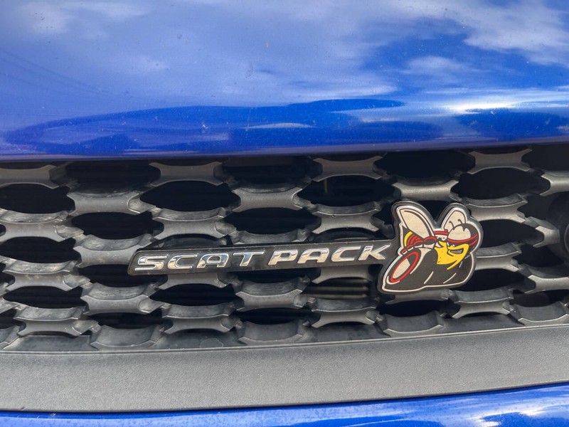 Dodge Charger Vehicle Image 16