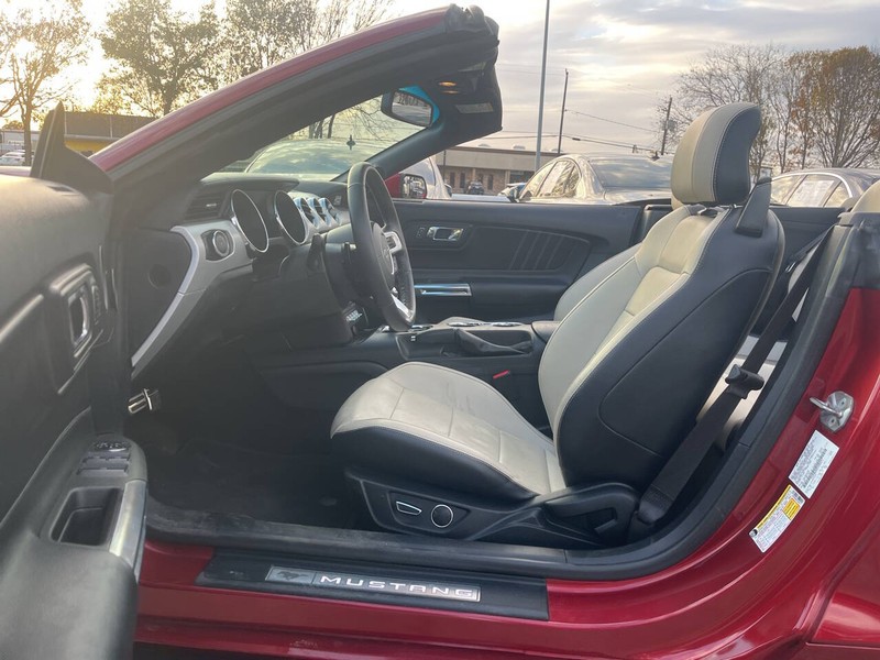 Ford Mustang Vehicle Image 07