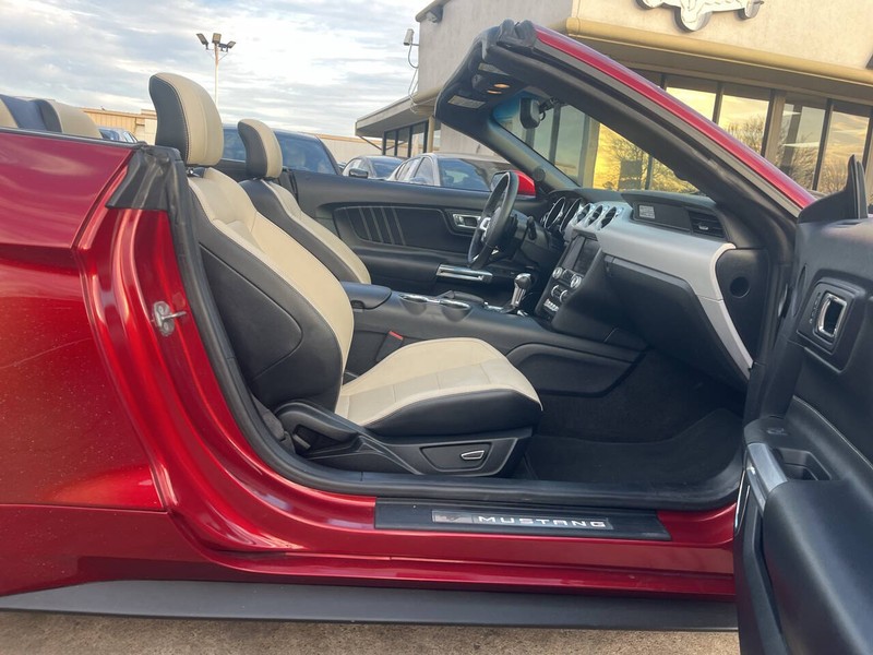 Ford Mustang Vehicle Image 10