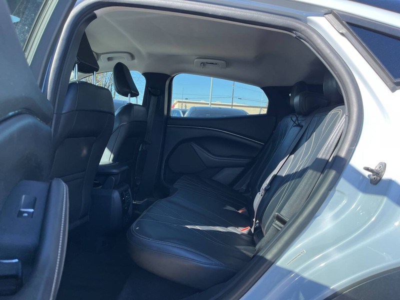 Ford Mustang Mach-E Vehicle Image 08