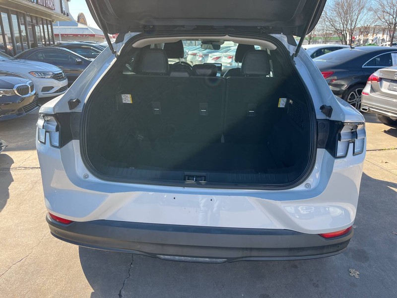 Ford Mustang Mach-E Vehicle Image 09