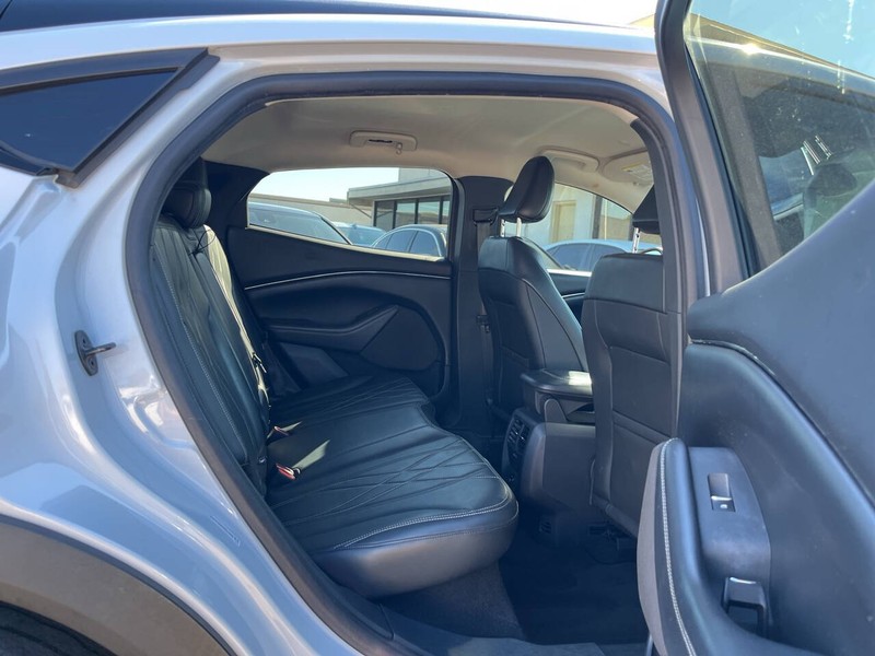 Ford Mustang Mach-E Vehicle Image 10