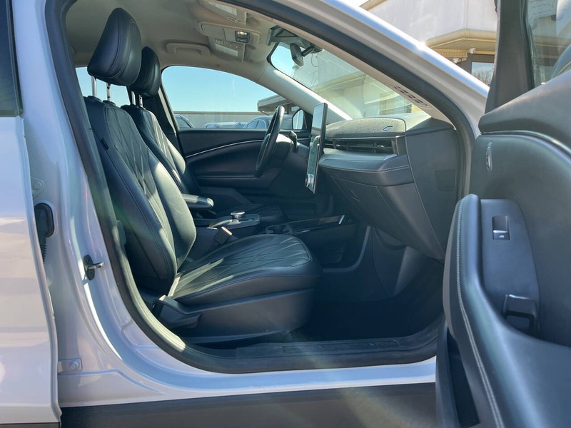 Ford Mustang Mach-E Vehicle Image 11