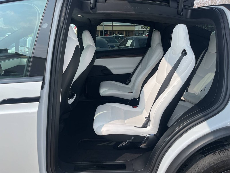 Tesla Model X Vehicle Image 10