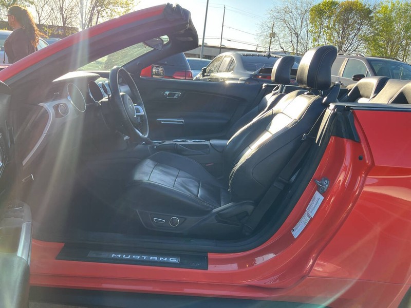 Ford Mustang Vehicle Image 07