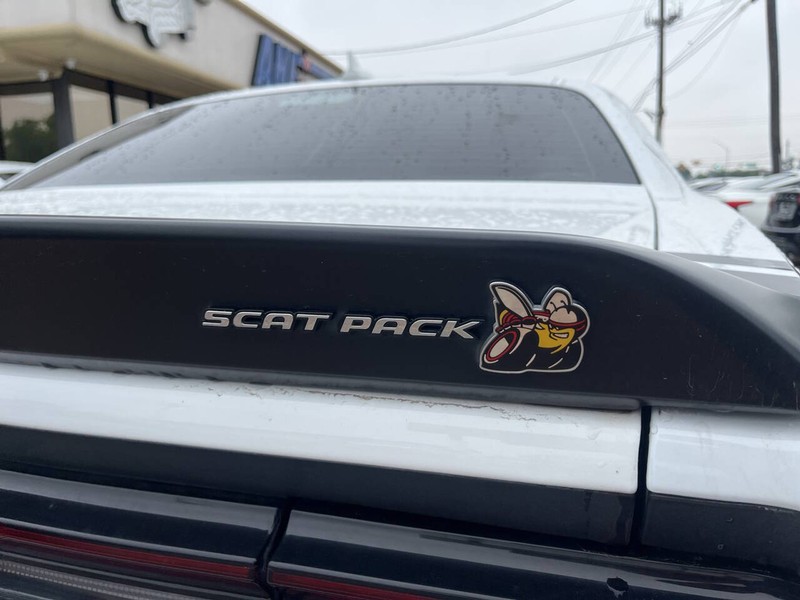 Dodge Challenger Vehicle Image 06