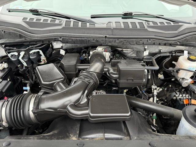 Ford Super Duty F-250 SRW Vehicle Full-screen Gallery Image 28