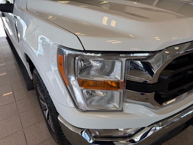 Ford F-150 Vehicle Full-screen Gallery Image 10