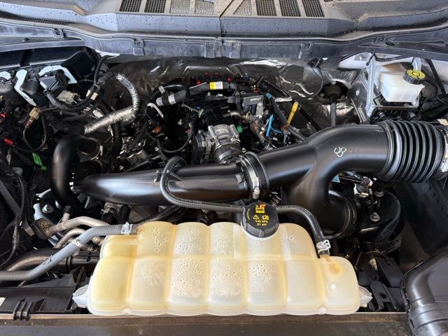 Ford F-150 Vehicle Full-screen Gallery Image 29