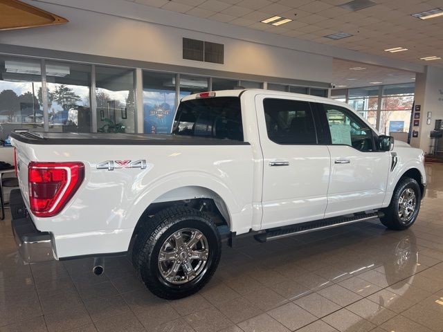 Ford F-150 Vehicle Full-screen Gallery Image 04