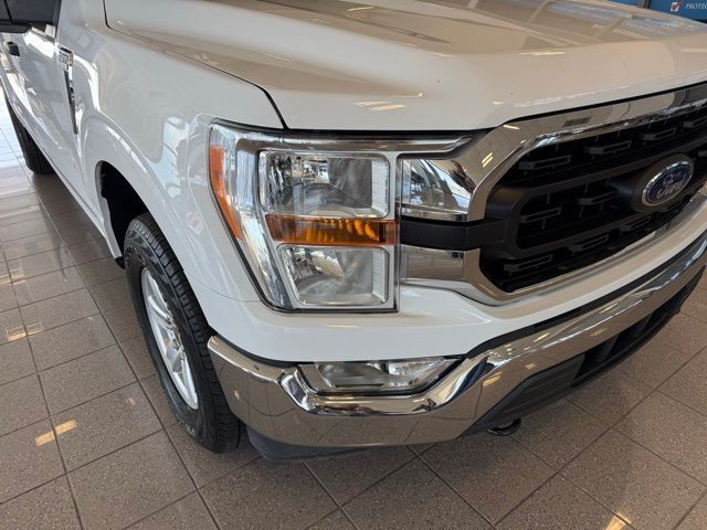 Ford F-150 Vehicle Full-screen Gallery Image 08