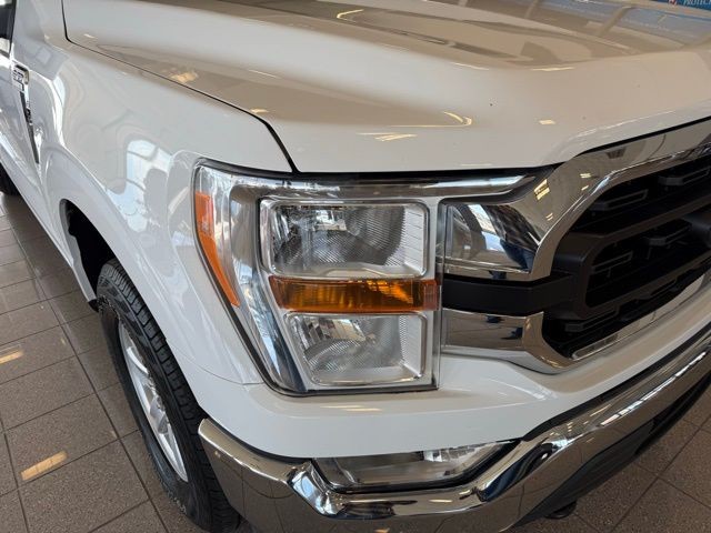 Ford F-150 Vehicle Full-screen Gallery Image 09