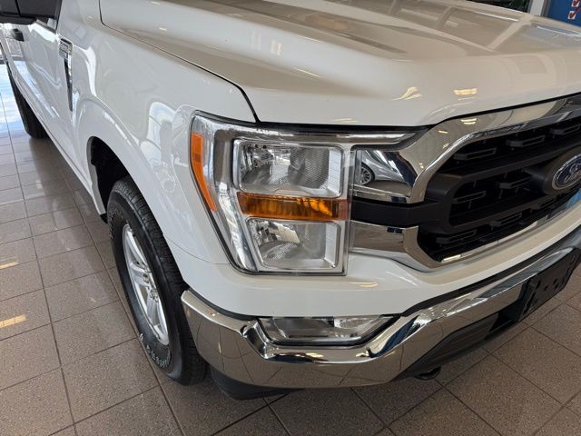 Ford F-150 Vehicle Full-screen Gallery Image 08