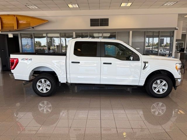 Ford F-150 Vehicle Full-screen Gallery Image 02