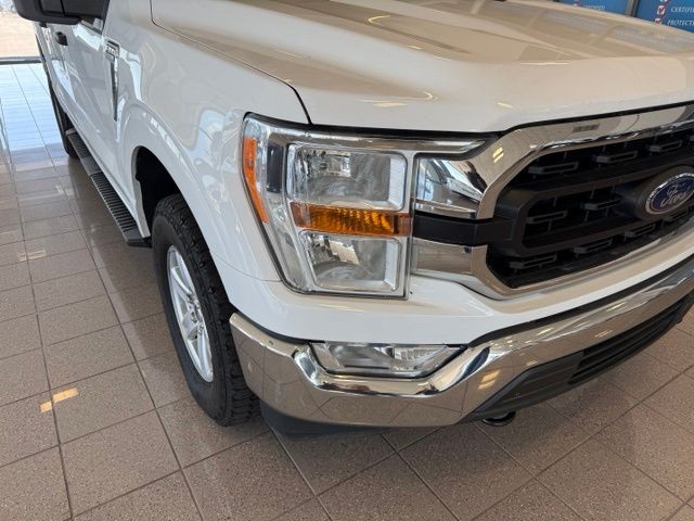 Ford F-150 Vehicle Full-screen Gallery Image 09
