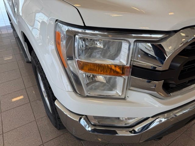 Ford F-150 Vehicle Full-screen Gallery Image 10