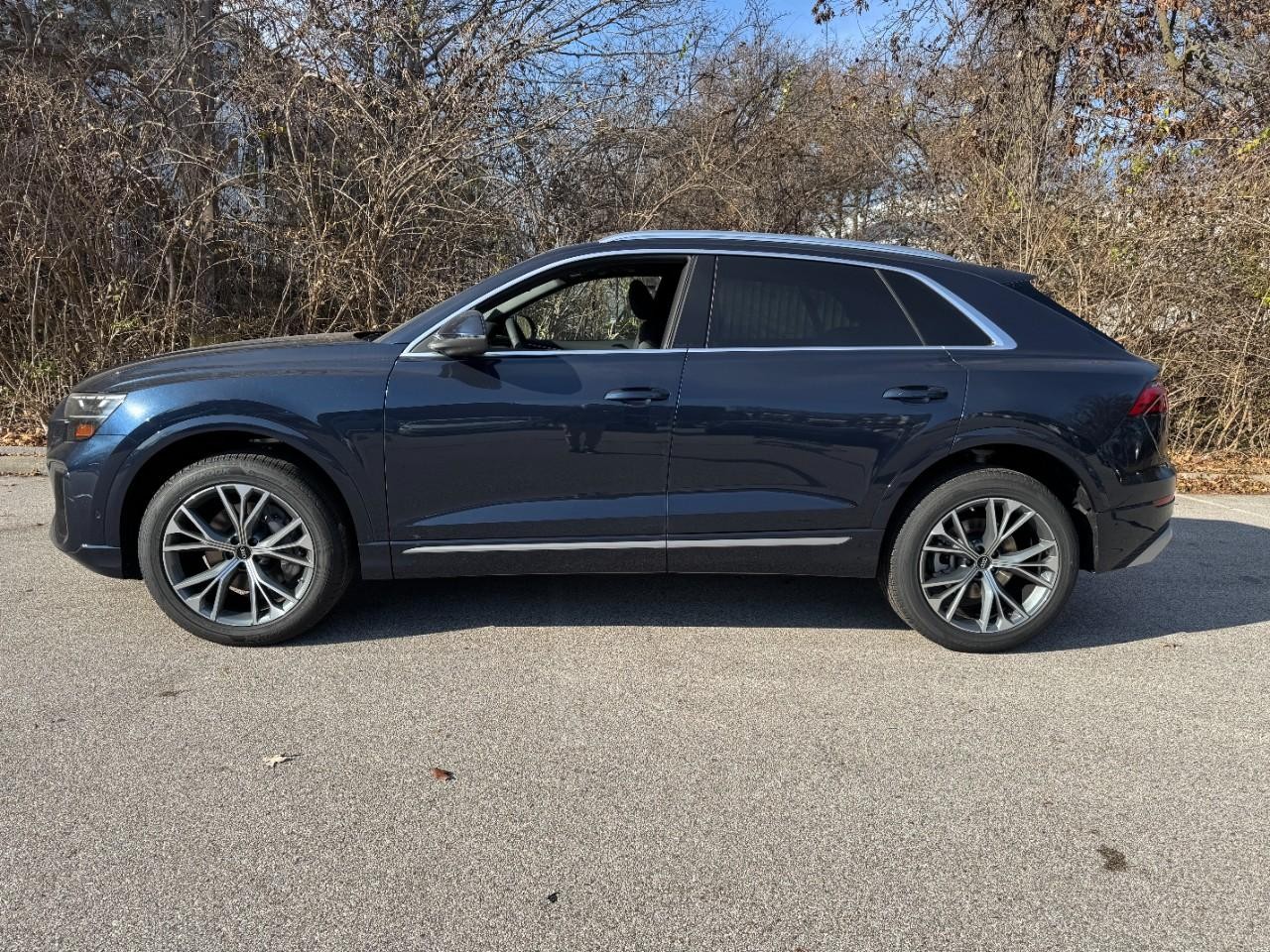 Audi Q8 Vehicle Full-screen Gallery Image 2