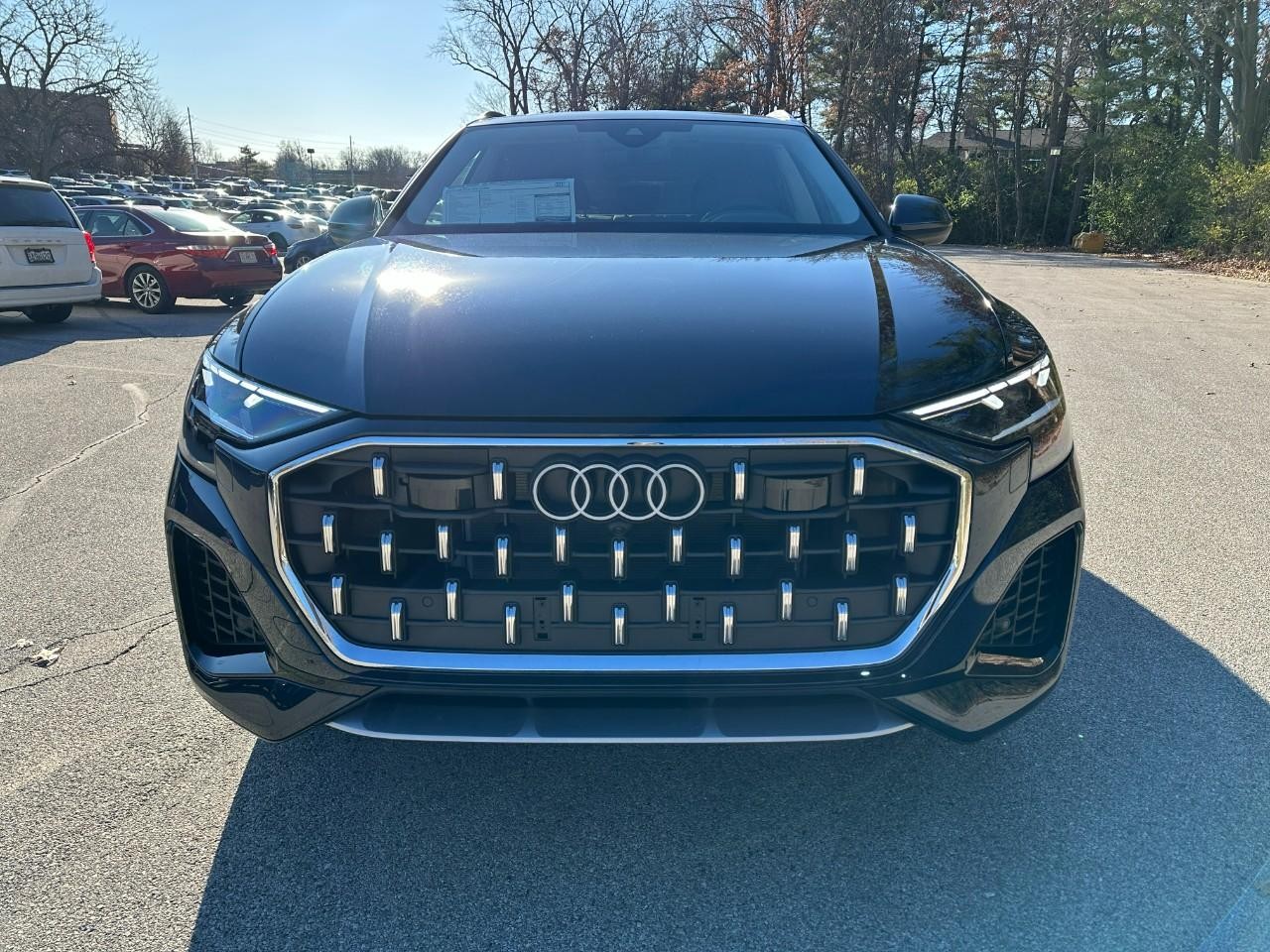 Audi Q8 Vehicle Full-screen Gallery Image 8