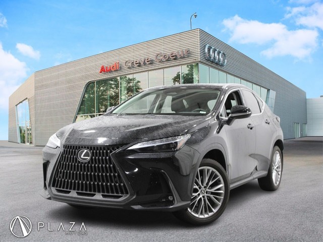 more details - lexus nx